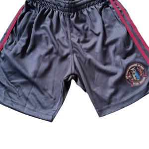 *NEW* Scoil Mhuire Newbridge SENIOR crested shorts